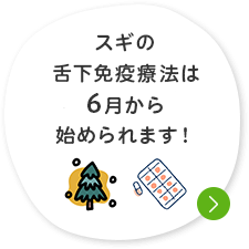 スギの舌下免疫療法は6月から始められます！
