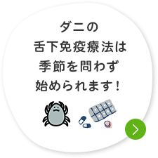 ダニの舌下免疫療法は季節を問わず始められます！