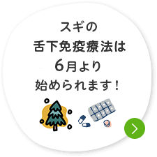 スギの舌下免疫療法は6月より始められます！